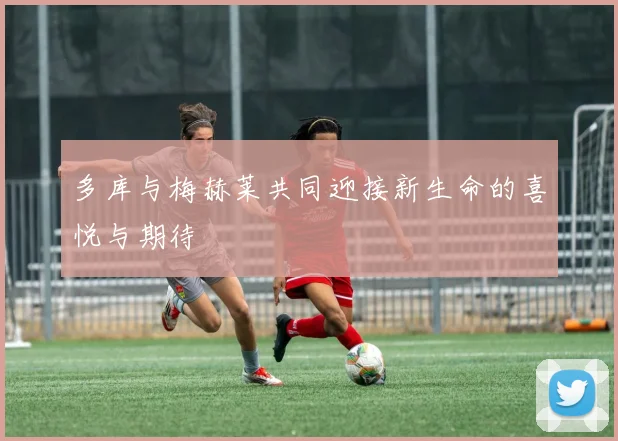 多库与梅赫莱共同迎接新生命的喜悦与期待